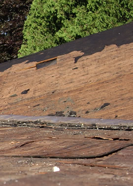 Inspecting The Roof Decking