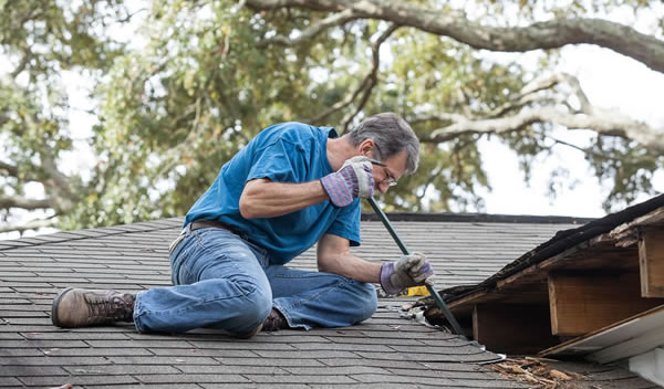 What To Do If Your Roof Is Leaking?