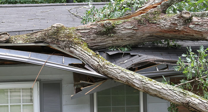 Storm Damaged Roof and Home Repairs Wisconsin.