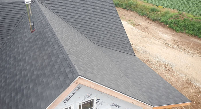 Signs You Might Need a New Roof On Your Home