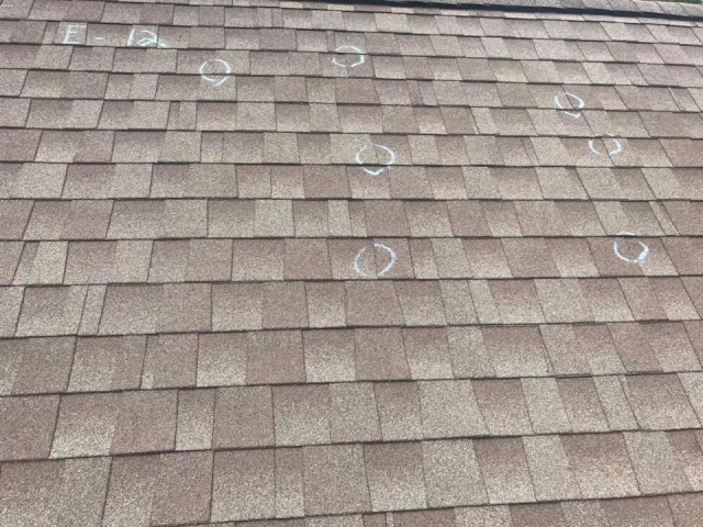 Markings on hail damaged and bruised shingles.